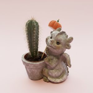 кактус